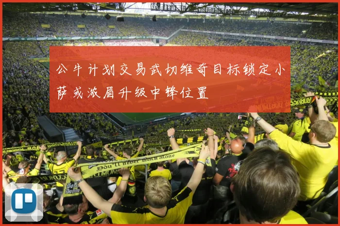 公牛计划交易武切维奇目标锁定小萨或浓眉升级中锋位置
