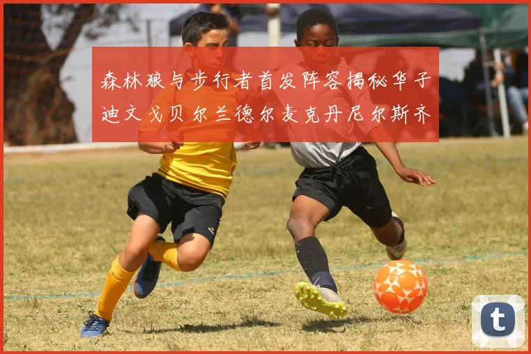 森林狼与步行者首发阵容揭秘华子迪文戈贝尔兰德尔麦克丹尼尔斯齐聚一堂